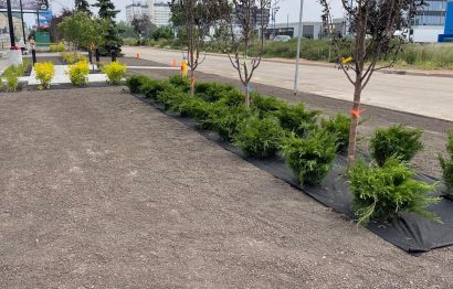 WhatsApp Image 2026-03-20 at 11.27.28 AM (5)