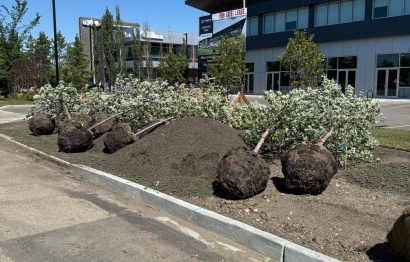 WhatsApp Image 2026-03-20 at 11.27.30 AM