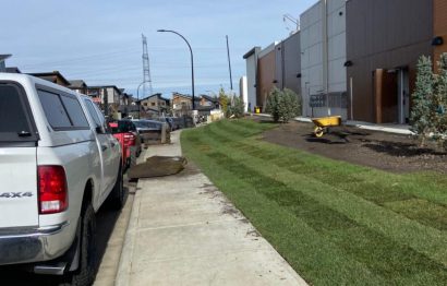 WhatsApp Image 2026-03-23 at 12.31.28 PM (1)