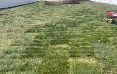 WhatsApp Image 2026-03-23 at 12.31.30 PM